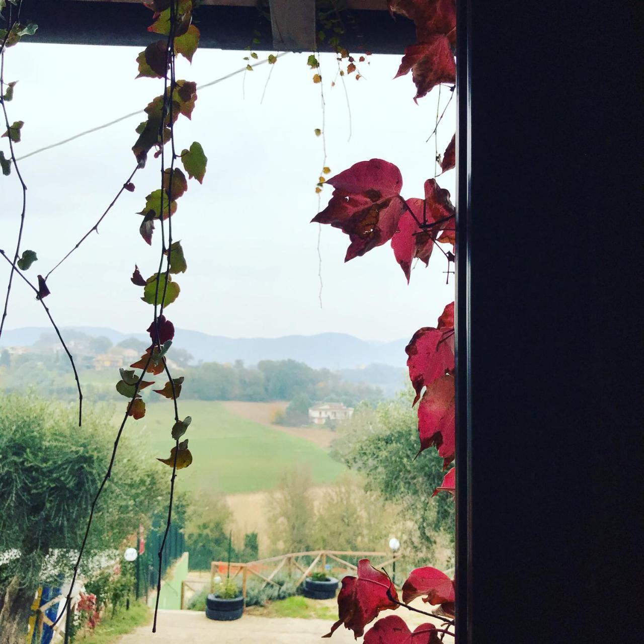 Il Pozzo Country House Collescipoli Екстериор снимка