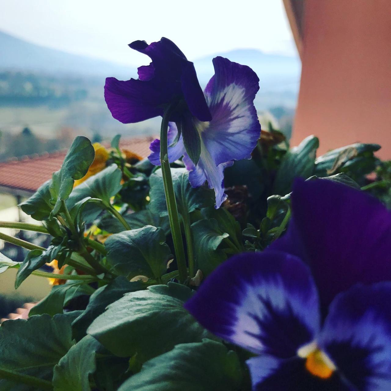 Il Pozzo Country House Collescipoli Екстериор снимка